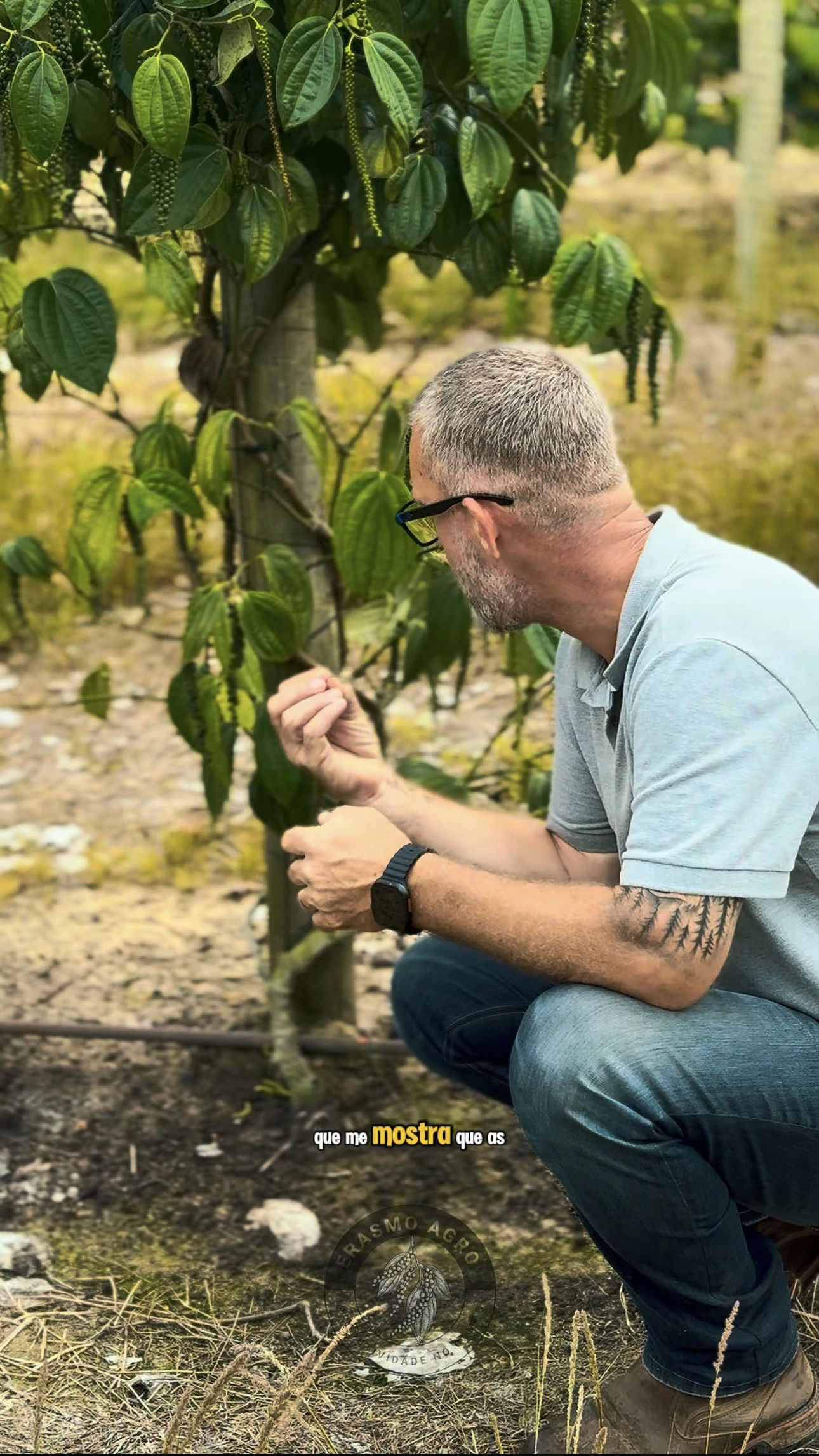 Experiência prática da Erasmo Agro no campo — imagem 30 de 38